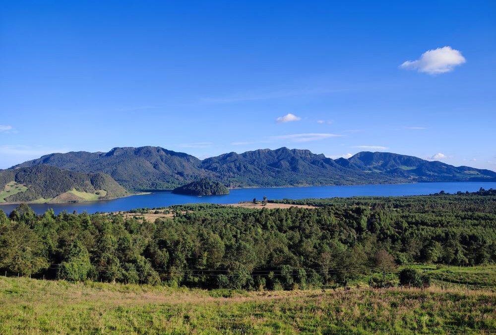 Casa Jaguar Neusa Origen